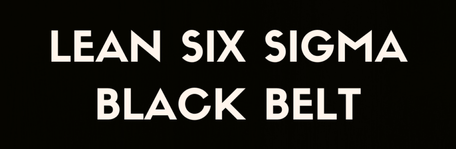 lean six sigma black belt case study